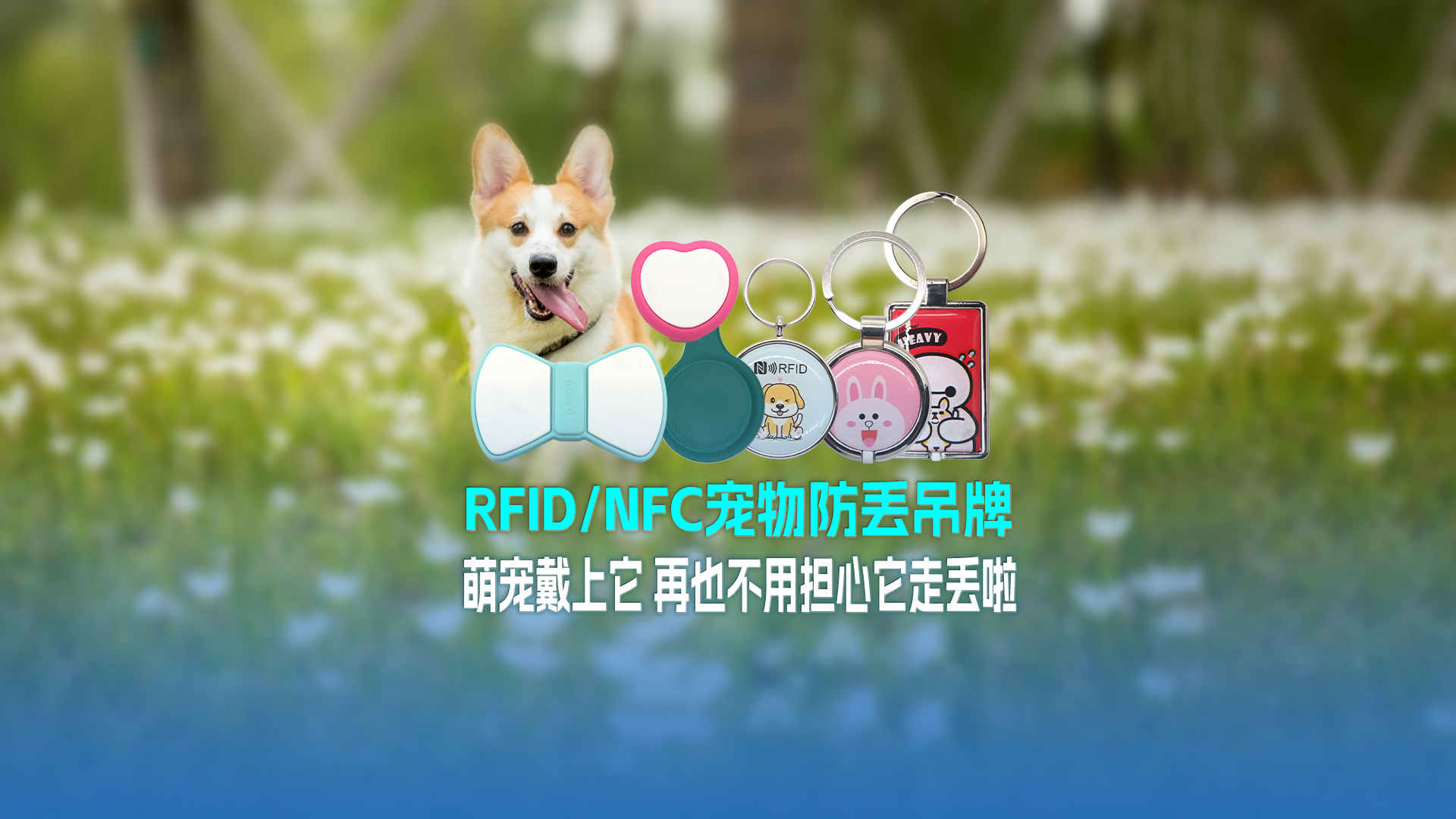 微信图片_20250305172708